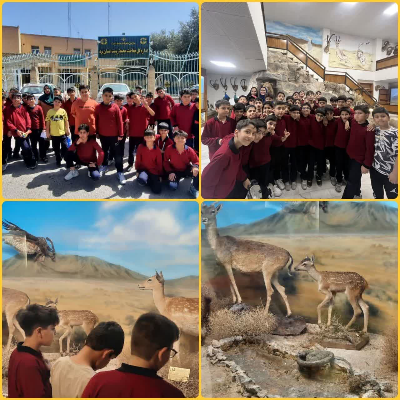 بازدید  از موزه محیط زیست