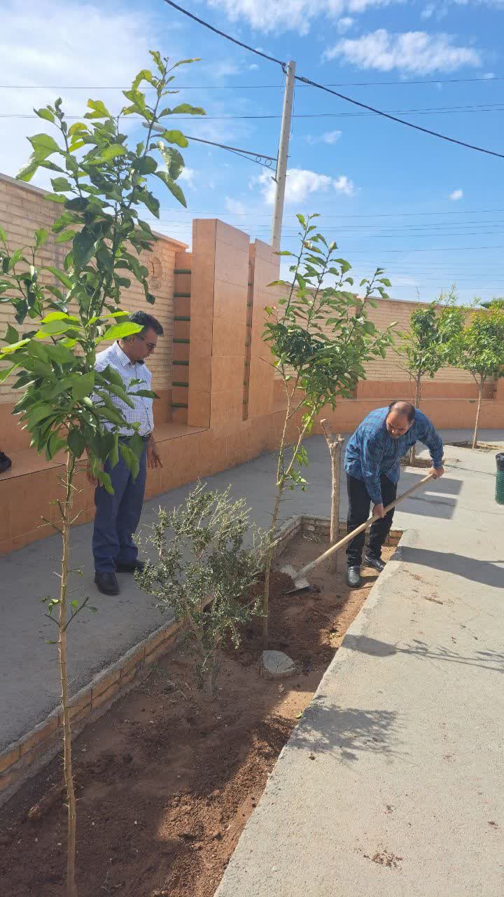 درخت کاری